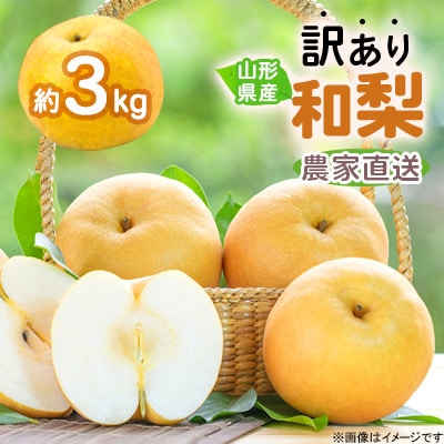 令和9年産　先行受付　農家直送「和梨　家庭用」約3キロ【離島配送不可】