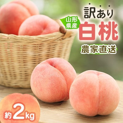 令和8年産　先行受付　農家直送「白桃」約2キロ　訳あり　ご家庭用【離島配送不可】