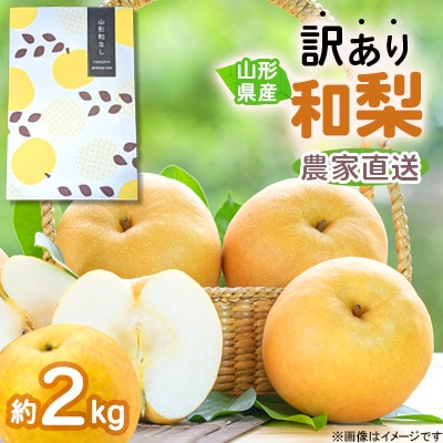 令和8年産 先行受付 農家直送 「和梨」 約2キロ 訳あり ご家庭用 【離島配送不可】