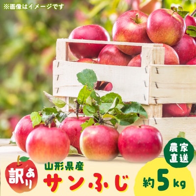 令和8年産　農家直送わけあり「サンふじりんご」自家用約5キロ