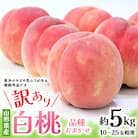 【2026年度先行予約】☆フルーツ王国山形☆ご自宅用白桃　約5kg(10～25玉)　品種おまかせ