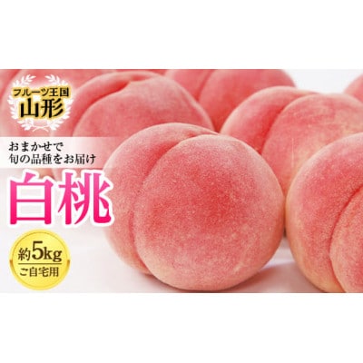 【2026年度先行予約】☆フルーツ王国山形☆ご自宅用白桃　約5kg(10～25玉)　品種おまかせ
