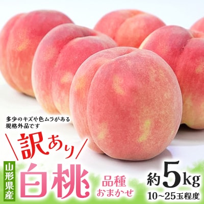 【2026年度先行予約】☆フルーツ王国山形☆ご自宅用白桃　約5kg(10～25玉)　品種おまかせ