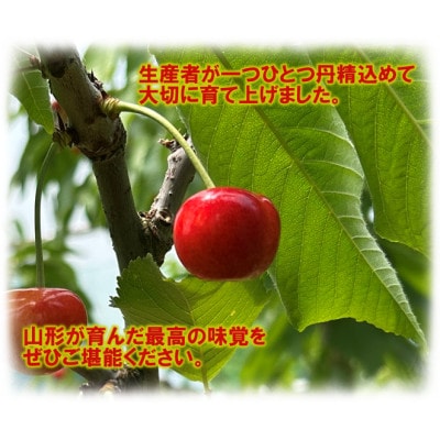【2026年先行予約】☆フルーツ王国山形☆やまがた紅王　秀品以上4Lサイズ　桐箱詰め