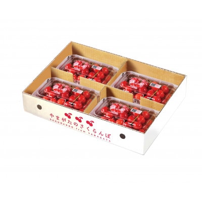 山形県産さくらんぼ『佐藤錦』　秀品　720g(180g×4P)