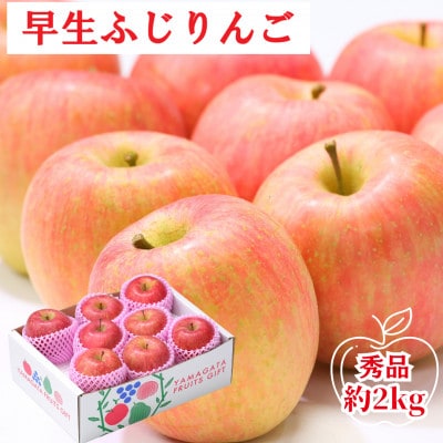 【発送月固定定期便】2026年度発送　山形代表3品種『りんご三昧』全3回