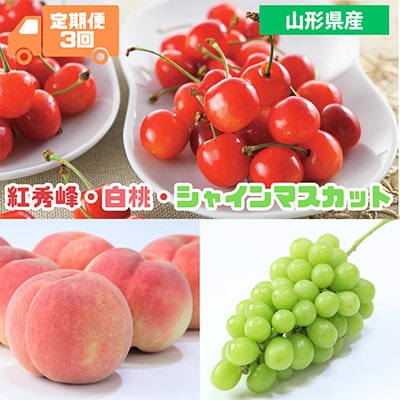 【発送月固定定期便】2026年発送山形代表果物(紅秀峰・白桃・シャインマスカット)全3回