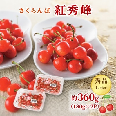 【発送月固定定期便】2026年発送山形代表果物(紅秀峰・白桃・シャインマスカット)全3回