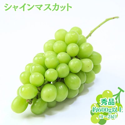 【発送月固定定期便】2026年発送山形代表果物(紅秀峰・白桃・シャインマスカット)全3回