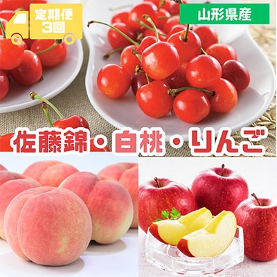 【発送月固定定期便】2026年度発送　山形代表くだもの3品種『佐藤錦・白桃・りんご』全3回