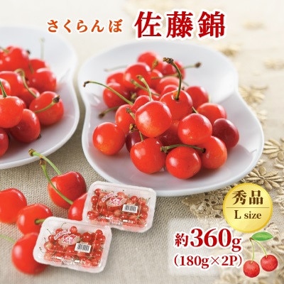 【発送月固定定期便】2026年度発送　山形代表くだもの3品種『佐藤錦・白桃・りんご』全3回