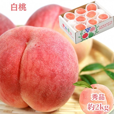 【発送月固定定期便】2026年度発送　山形代表くだもの3品種『佐藤錦・白桃・りんご』全3回