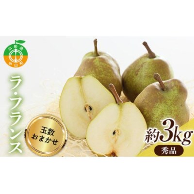 《2025年度先行予約》山形県産 ラ・フランス 秀品 約3kg(8-14玉)