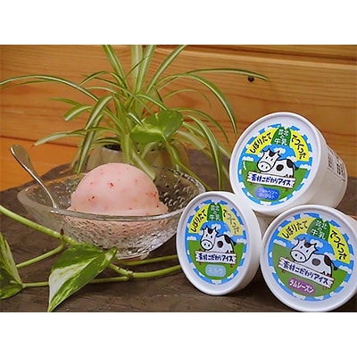 芸北ドルチェ　アイスクリームセット(130ml×6ケ)