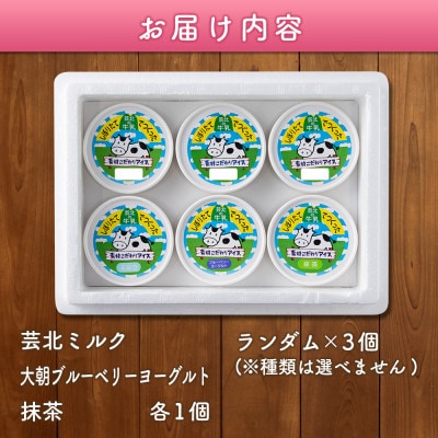 芸北ドルチェ　アイスクリームセット(130ml×6ケ)