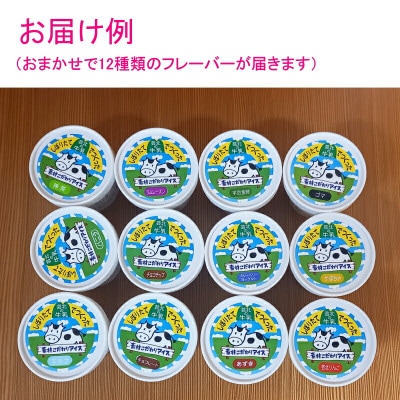 芸北ドルチェのジェラート12種食べ比べセット(130ml×12個)