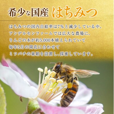 アンデルセンファームのはちみつ1個(300g)