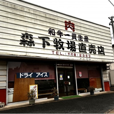 広島牛サーロインステーキ 1枚【約250g】(A4ランク以上)