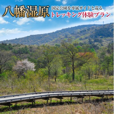 西中国山地国定公園 専属ガイドと巡る『八幡湿原』トレッキング体験プラン