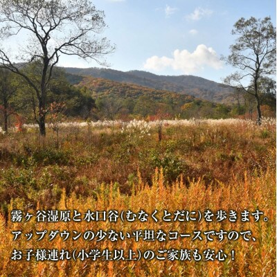 西中国山地国定公園 専属ガイドと巡る『八幡湿原』トレッキング体験プラン