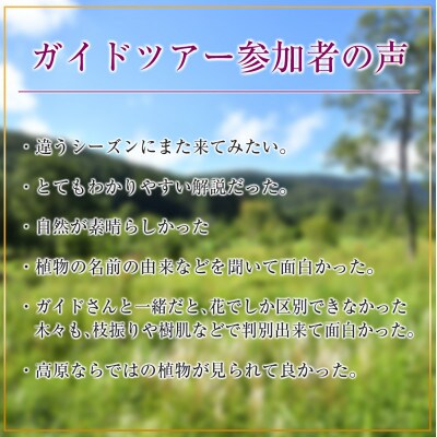 西中国山地国定公園 専属ガイドと巡る『八幡湿原』トレッキング体験プラン