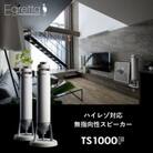 Egretta(エグレッタ)ハイレゾ対応無指向性タワー型スピーカー　TS1000F