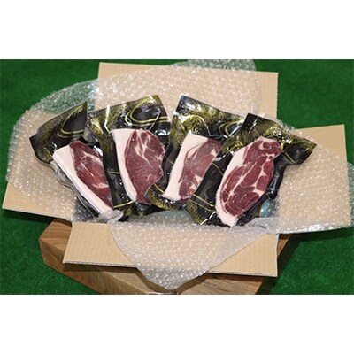 広島県産　こだわり熟成猪肉　500g