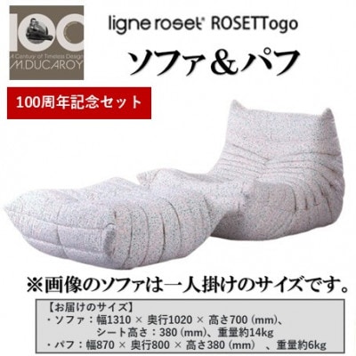 【数量・期間限定】リーン・ロゼ トーゴ 2人掛けソファ&パフ 100周年記念セット(北広島町)