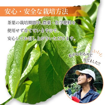 広島杜仲茶3袋セット