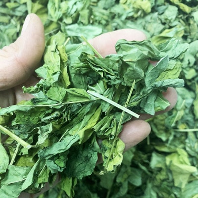 はぶそう茶(葉だけ使用)　2g×10包