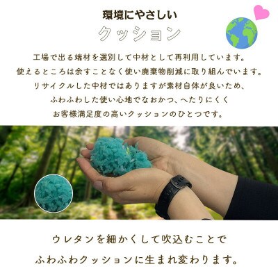 洗えるクッション　2点セット　環境にやさしいリボーンクッション
