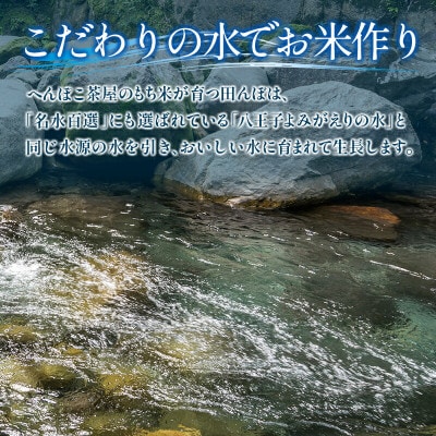 へんぽこ茶屋つきたてよもぎ生餅(10個入り2パック)