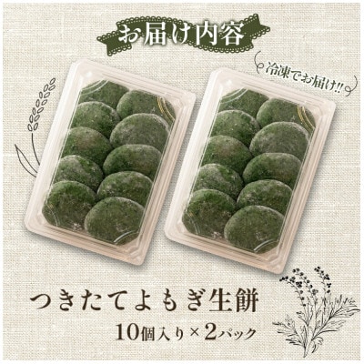 へんぽこ茶屋つきたてよもぎ生餅(10個入り2パック)