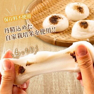 へんぽこ茶屋つきたて生餅(10個入り2パック)
