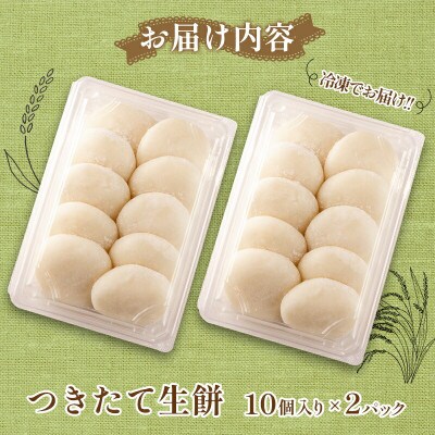 へんぽこ茶屋つきたて生餅(10個入り2パック)