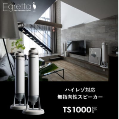 Egretta(エグレッタ)ハイレゾ対応無指向性タワー型スピーカー　TS1000F