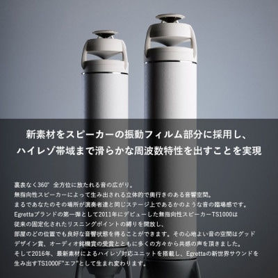 Egretta(エグレッタ)ハイレゾ対応無指向性タワー型スピーカー　TS1000F
