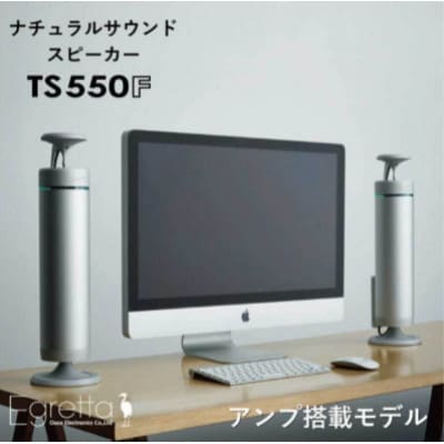 Egretta(エグレッタ)デスクトップサイズ 全方位スピーカー　TS550F