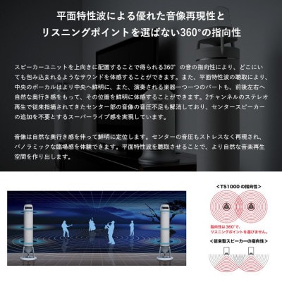 Egretta 無指向性バスレフ・タワー型スピーカーTS1000(オーディオセット)