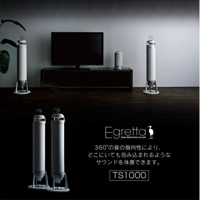 Egretta 無指向性バスレフ・タワー型スピーカーTS1000(オーディオセット)