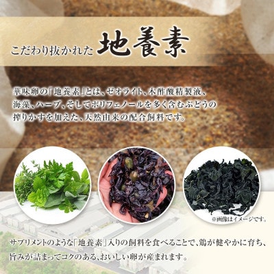 ちよだファームのたまご 華味卵(はなみらん)60個 (50個+割れ補償10個)