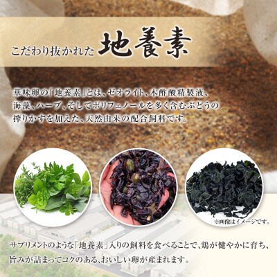 【毎月定期便】華味卵 60個(50個+割れ補償10個)全3回