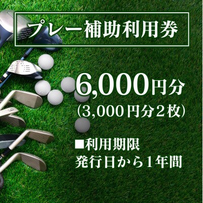 千代田ゴルフ倶楽部 ゴルフ場優待プレー補助利用券 6,000円分