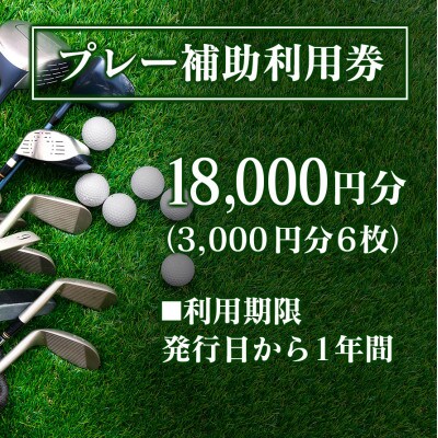 千代田ゴルフ倶楽部 ゴルフ場優待プレー補助利用券 18,000円分