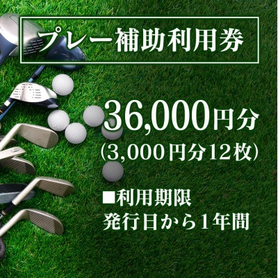 千代田ゴルフ倶楽部 ゴルフ場優待プレー補助利用券 36,000円分
