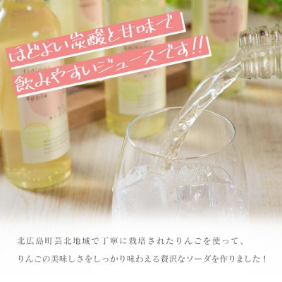 芸北りんご便り(りんごソーダ) 6本セット