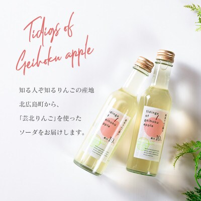 芸北りんご便り(りんごソーダ) 12本セット