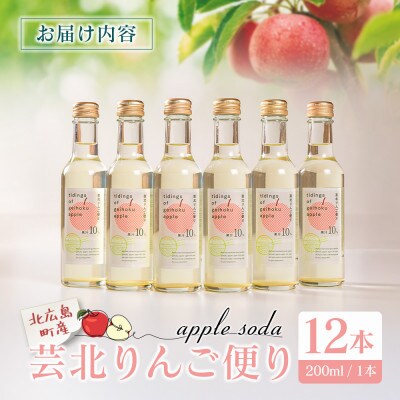 芸北りんご便り(りんごソーダ) 12本セット