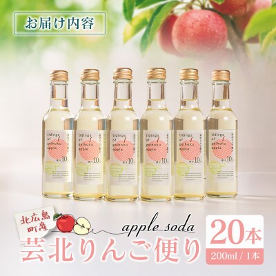 芸北りんご便り(りんごソーダ) 20本セット