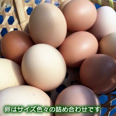 ふぁーむbuffoの平飼いたまご 30個